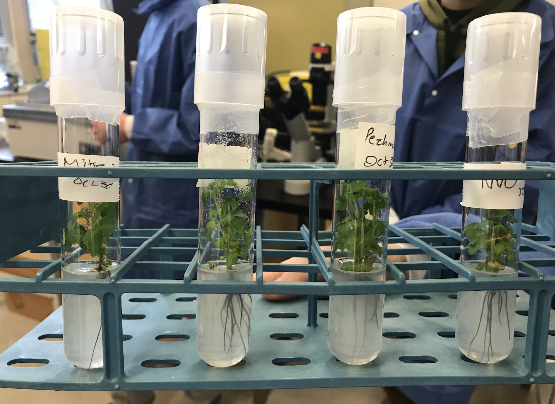 biotech
